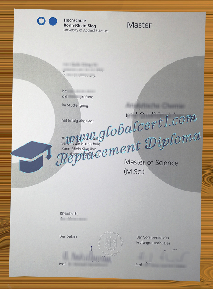 Hochschule Bonn-Rhein-Sieg degree