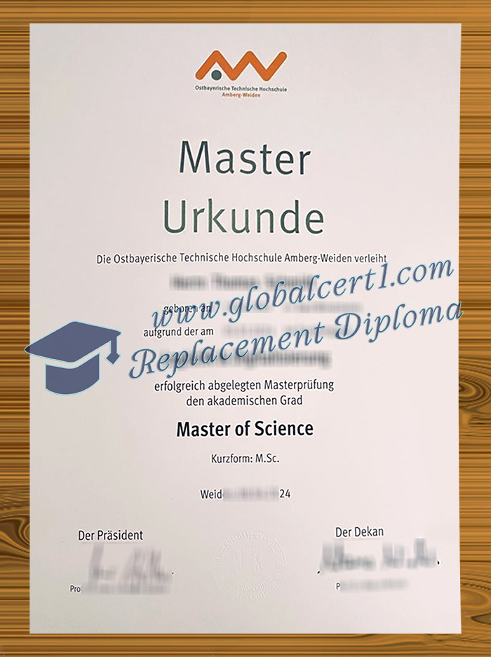 OTH Amberg-Weiden degree