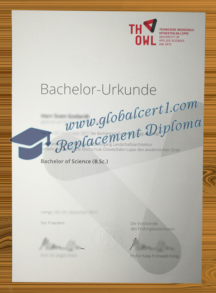 TH OWL degree