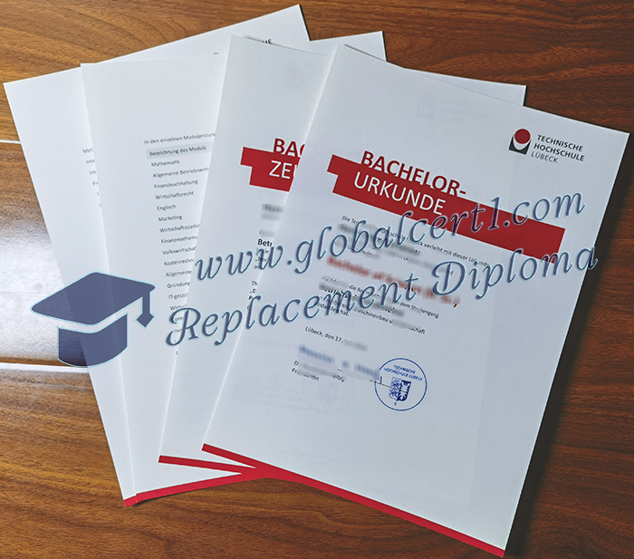 Technische Hochschule Lübeck degree and transcript