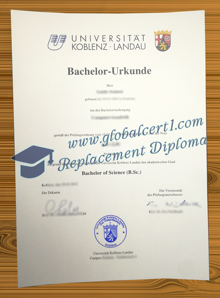 Universität Koblenz-Landau degree